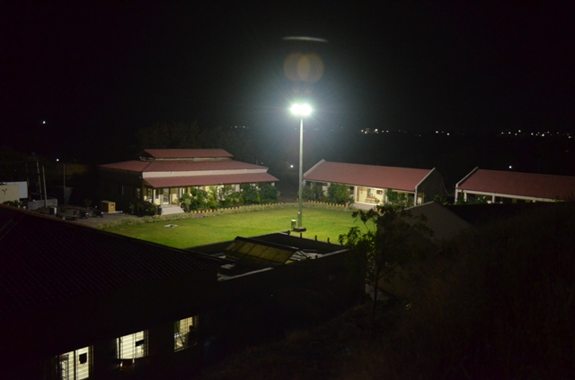 Plants: image 14 0f 21 thumb